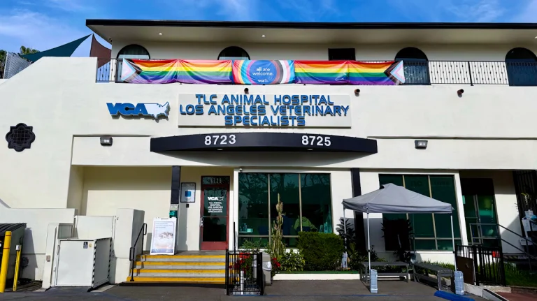 VCA TLC Animal Hospital, a dog-friendly veterinary clinic in West Hollywood, California