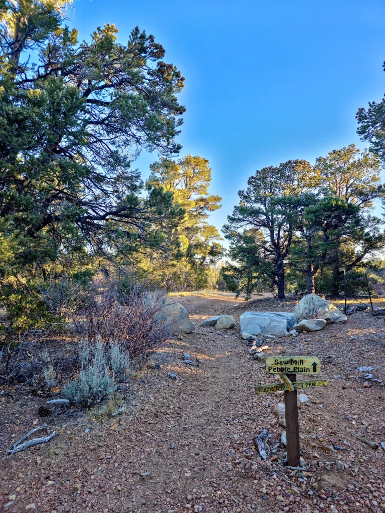 Villa Grove Ave Pebble Plain Trailhead Big Bear Lake