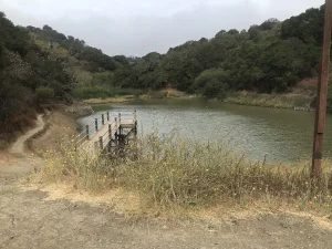 Water Dog Lake, a dog-friendly hiking trail in Belmont, California