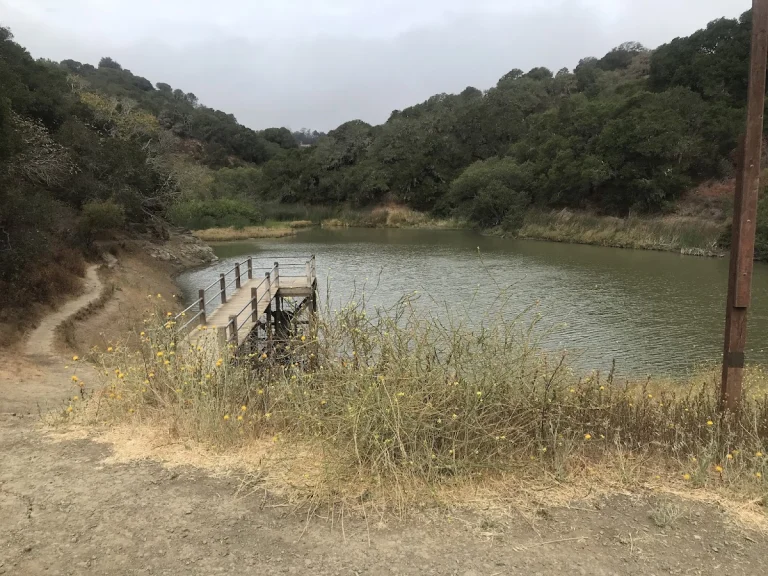 Water Dog Lake, a dog-friendly hiking trail in Belmont, California