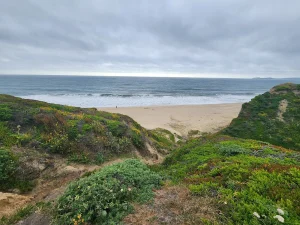 Wavecrest Open Space Preserve, a dog-friendly hiking trail in Half Moon Bay, California