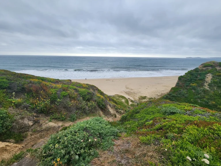 Wavecrest Open Space Preserve