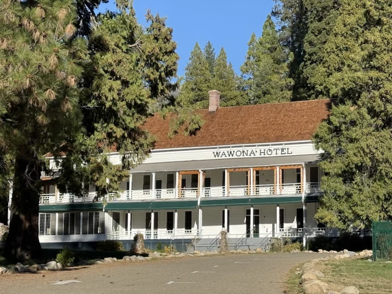 Wawona Campground, a dog-friendly campground in Mariposa, California