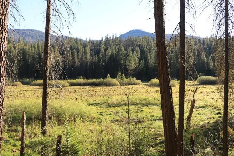 Wawona Meadow Loop Trailhead