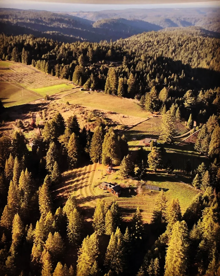 Wentworth Vineyards (Wentworth Vineyard & Ranch, LLC), a dog-friendly winery in Elk, California