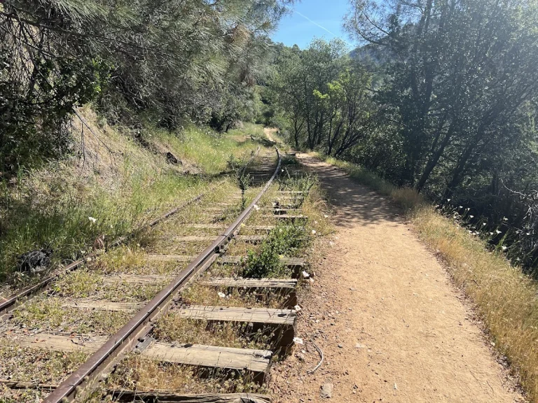 Westside Trail, a dog-friendly hiking trail in Tuolumne, California