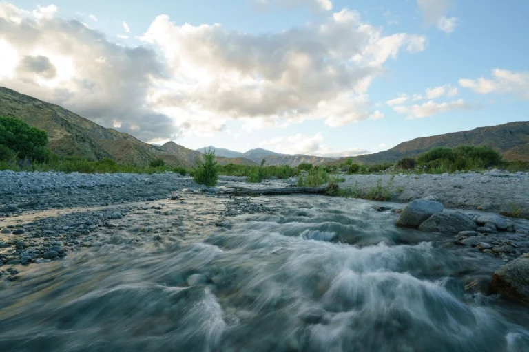 Whitewater Preserve, a dog-friendly hiking trail in Whitewater, California