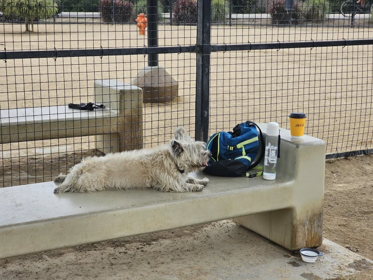Whittier Dog Park