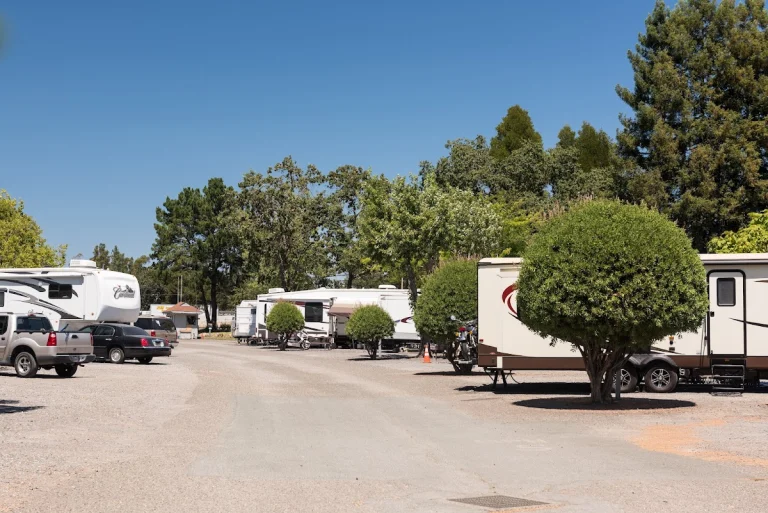 Windsor Wine Country RV Park, a dog-friendly campground in Windsor, California