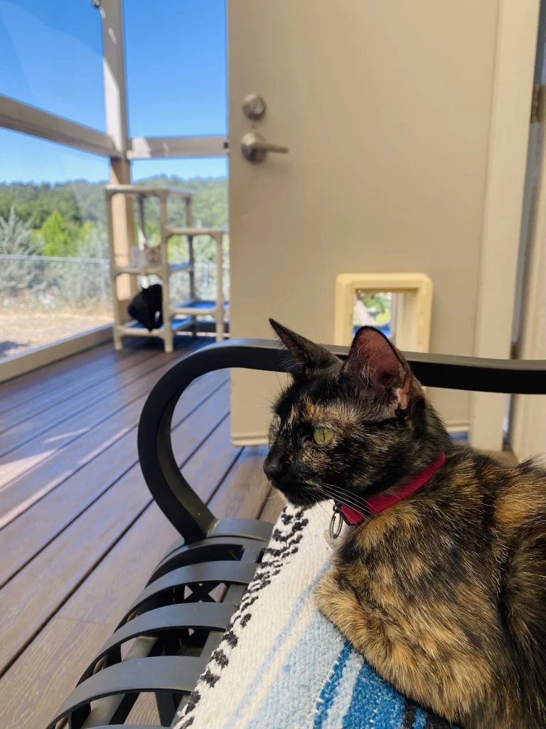 Woods Humane Society, a dog-friendly animal rescue in Atascadero, California
