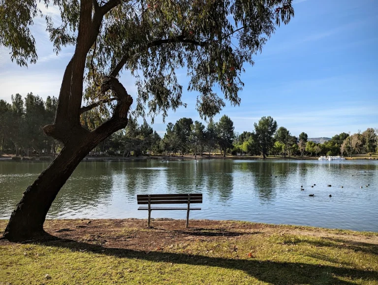 Yorba Regional Park, a dog-friendly park in Anaheim, California