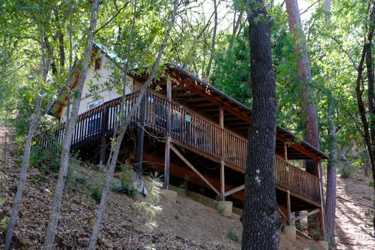 Yosemite Bug Rustic Mountain Resort