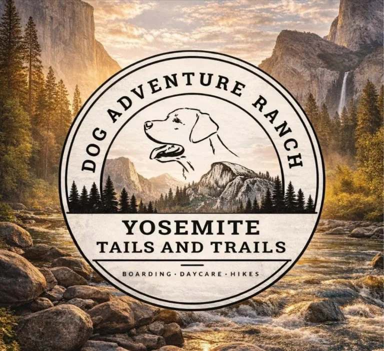 Yosemite Tails and Trails LLC