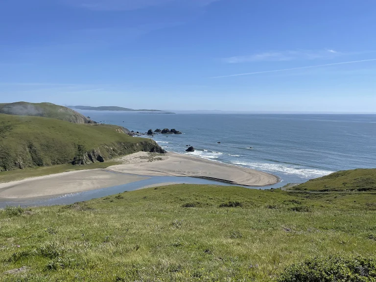 Wildlands Estero Americano Coast Mouth