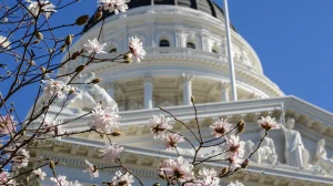 Spring Flowers at the California State Capitol