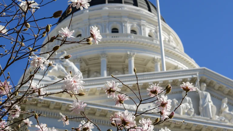 Spring Flowers at the California State Capitol