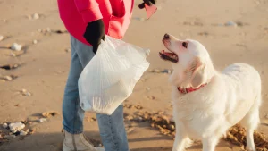 A female volunteer with dog cleans the beach