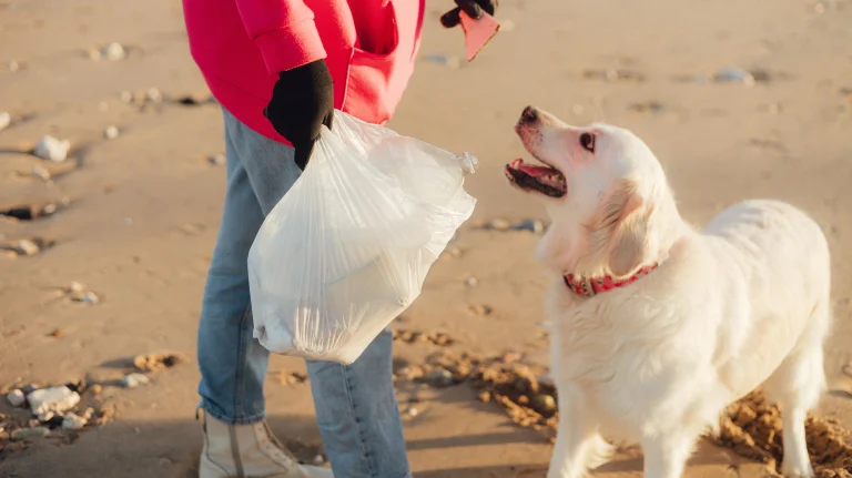 A female volunteer with dog cleans the beach