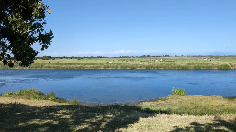 Brannan Island State Recreation Area — Google Places photo