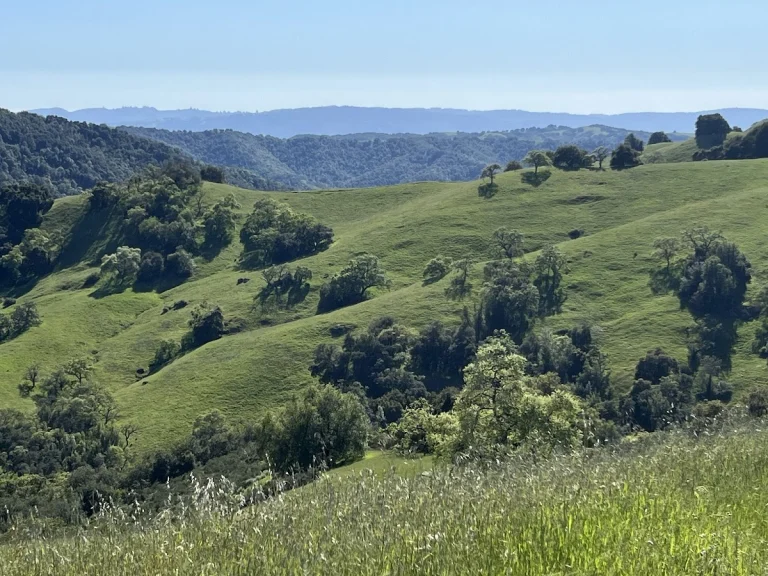 Henry W. Coe State Park — Google Places photo