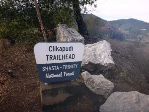 Top five off-the-beaten-path dog hikes in Shasta Cascade