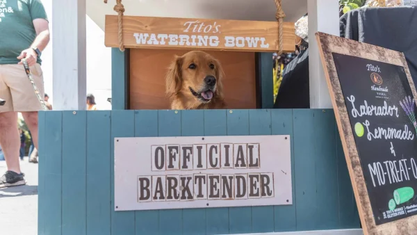 Pints for Paws, Berkeley