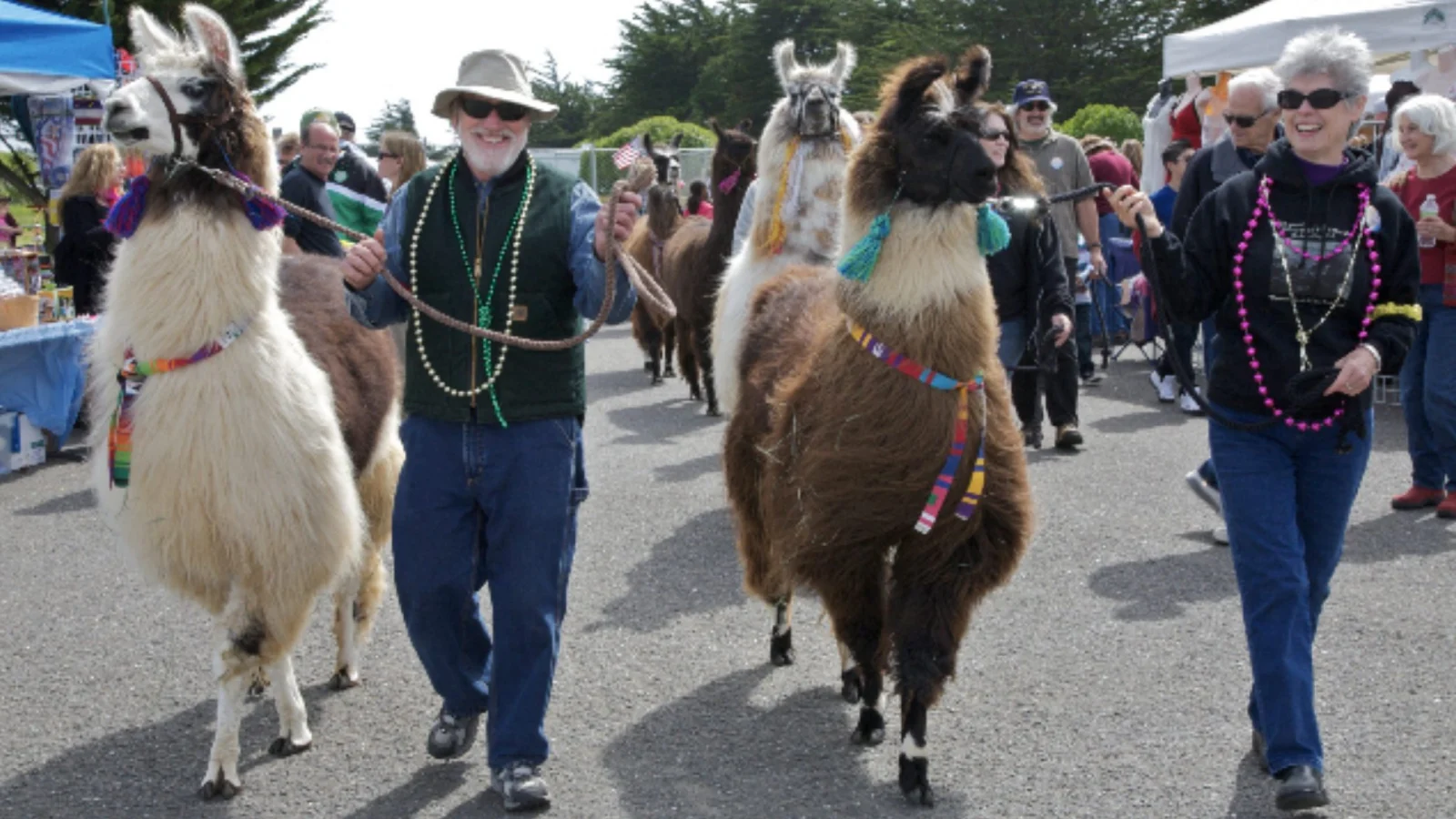 53rd Annual Bodega Bay Fisherman’s Festival