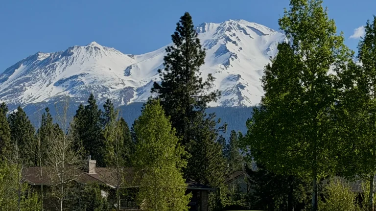 Mount Shasta Resort