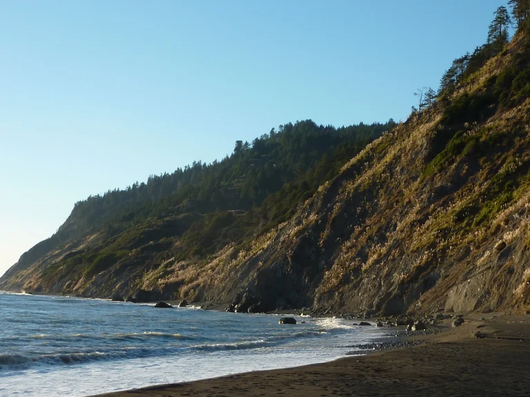 Sinkyone Wilderness State Park