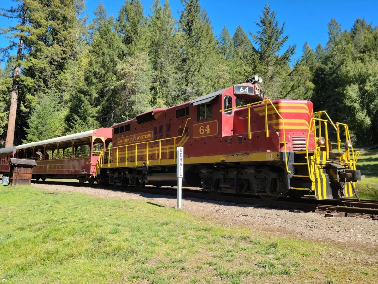 Skunk Train – Willits