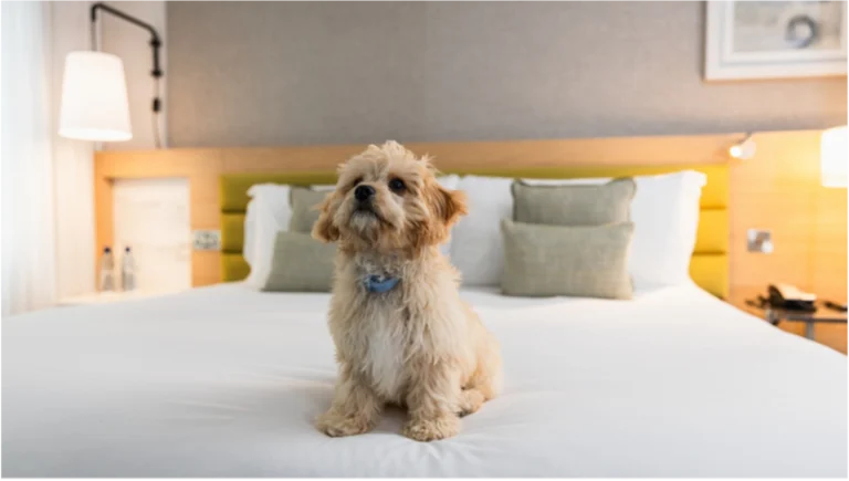SFP May 26 where to stay