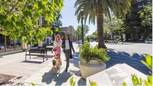 Explore The San Francisco Peninsula – paws welcome!