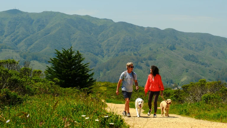 Sweenery Ridge With Dogs