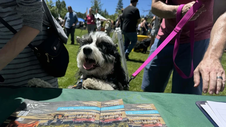 Dog at DT Puptopia booth, photo by Dave Kendrick.