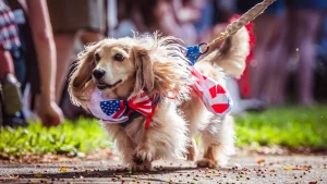 Avila's 4th of July Doggie Parade