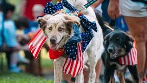 Town of Moraga 4th of July Celebration Dog Parade