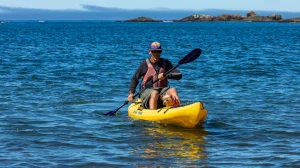 Dog and person in kayak