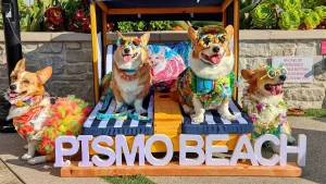 Pismo Beach Corgi Getaway 2026