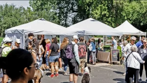 Gold River Sunday Market